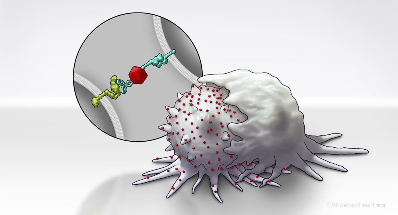 Nanotechnology Platform Sensitizes Cancer Cells To Immunotherapy Md Anderson Cancer Center 6848